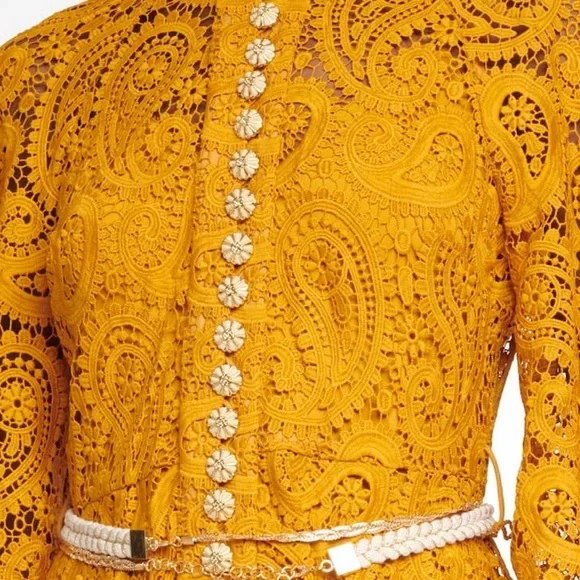 ZIMMERMANN
Anneke Paisley-lace mini dress - Picture 13 of 14